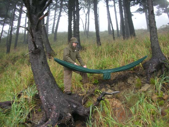 True Hammock Bliss