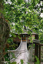 tree-house