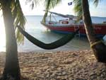 Hammock Bliss