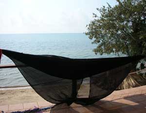 Mosquito Net