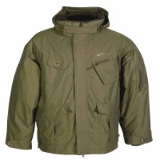 deal of the day