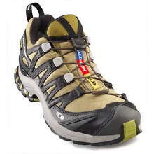 shoe1.jpg